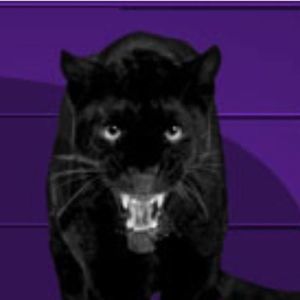 Meet your Posher, Paul